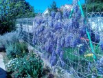 IMG_20190417_115241.jpg
