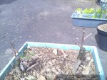 rps20190417_181544.jpg