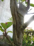 IMG_0621.jpg