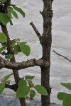 zDSC_8329.jpg