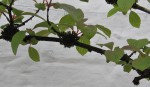 zDSC_8332.jpg