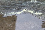 IMG_0310.JPG
