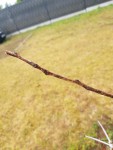 20190425_1104112.jpg