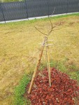 20190425_110306.jpg