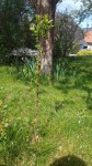 20190425_123046-min.jpg