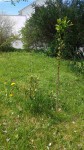 20190425_123411-min.jpg
