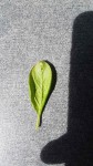 20190425_123455-min.jpg