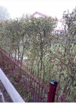 20190425_082825.jpg