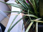 IMG_20190426_085901.jpg