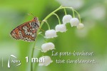 muguet.jpg