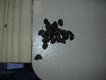 DSCN7059.JPG