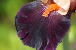 DSC01400.jpg