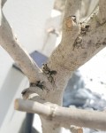 20190506_134016.jpg