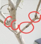 20190506_134225.jpg