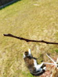20190506_155747.gif