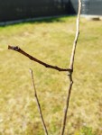 20190506_155800.jpg
