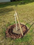 20190506_183755.jpg