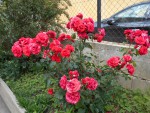 DSCN0085.JPG