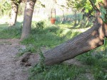 IMG_9252415565.jpg
