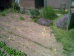 IMG04104-20190513-1356.jpg