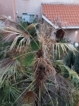 20190514_200714.gif