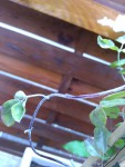 P_20190516_191359.jpg
