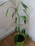 IMG_20190517_171059_2.jpg