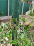 IMG_20190518_110444.jpg