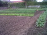 potager haut