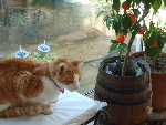 mimi... 021.jpg