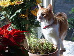 mimi... 027.jpg
