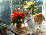 mimi... 031.jpg
