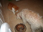 mimi... 038.jpg