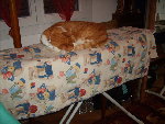 mimi... 039.jpg