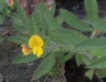 IMG_0093.JPG