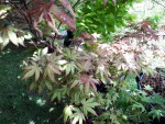 IMG20190525_141945.jpg28.jpg