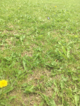 2019-05-25 23_33_10-IMG_1124.jpg - Visionneuse de photos Windows.png