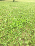 2019-05-25 23_34_02-IMG_1125.jpg - Visionneuse de photos Windows.png