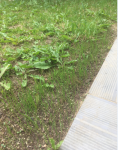 2019-05-25 23_35_04-IMG_1127.jpg - Visionneuse de photos Windows.png