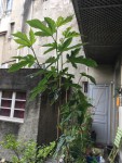 2019-05-23 17.39.21 - copie.jpg
