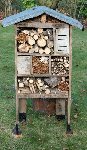 cabaneinsectessg8.jpg