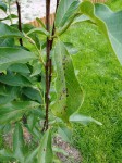 20190530_160433.jpg
