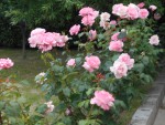 DSCN0062.JPG