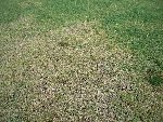 DSCN0445.JPG