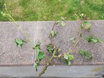 20190530_184705.jpg