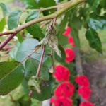 20190530_184917.jpg