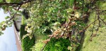 20190528_181637 (389x800).jpg
