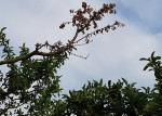 20190603_185013.jpg