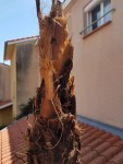 Photo 17.jpg