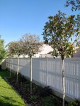 IMG_20190606_184246.jpg